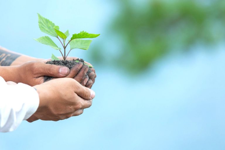 Hands-of-trees-growing-seedlings-environmental-protection